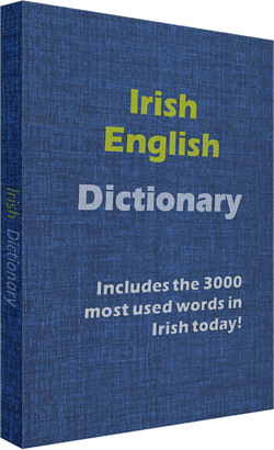 İrlandaca sözlük