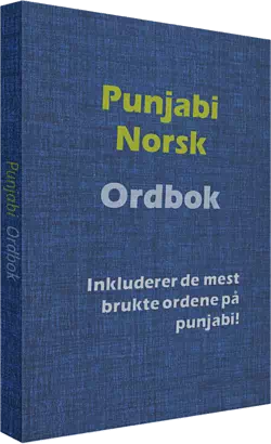 Punjabi ordbok