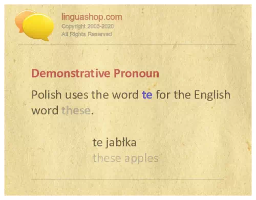 Polish grammar for download