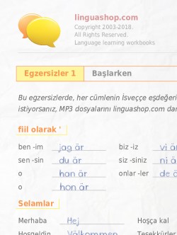 İsveççe PDF defter