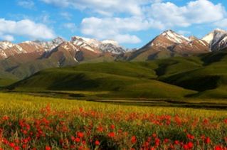 À propos du kirghize