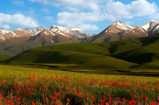Over Kirgizisch