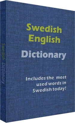 Swedish-English dictionary