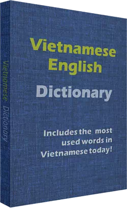 Vietnamese-English dictionary