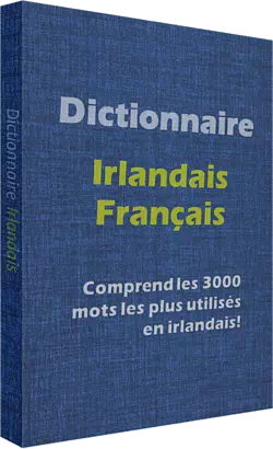 Dictionnaire français-irlandais