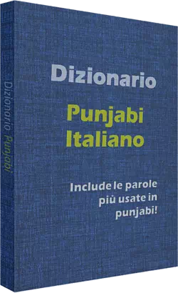 Dizionario punjabi