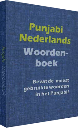 Punjabi Woordenboek
