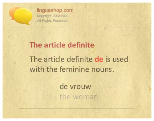 Dutch grammar for download