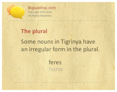 Tigrinische Grammatik zum Herunter­laden
