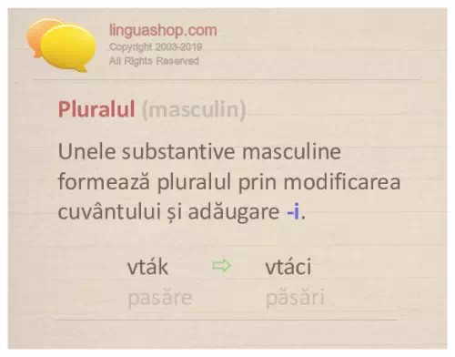 Gramatică slovacă pentru download