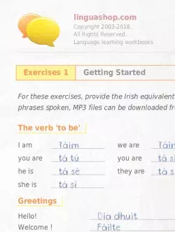 PDF Workbook in Irish