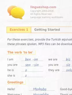 PDF Workbook in Turkish