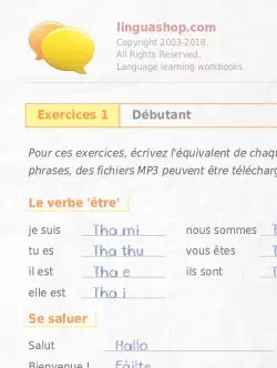 PDF Cahier d'exercices en gaélique