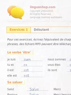 PDF Cahier d'exercices en latin