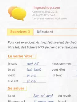 PDF Cahier d'exercices en punjabi